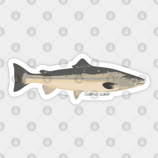 Salmo salar cartoon Sticker by DashingGecko